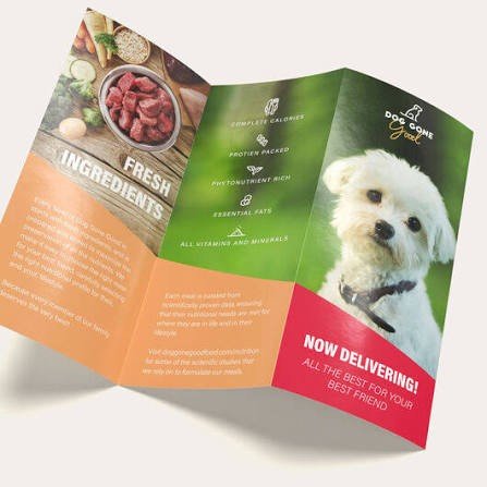 Brochure - Image 4